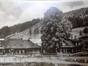 náhled knihy - 