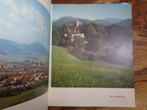 náhled knihy - 