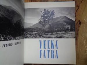 náhled knihy - 