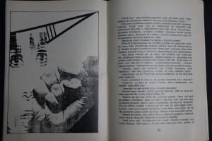 náhled knihy - 