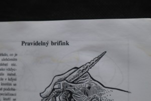 náhled knihy - 
