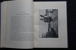 náhled knihy - 