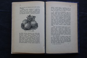 náhled knihy - 