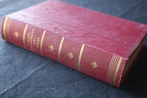 náhled knihy - Valentinovy ženy : román