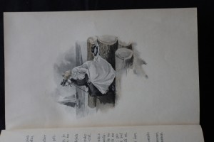 náhled knihy - 