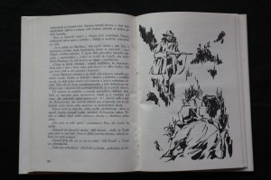 náhled knihy - 