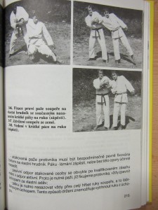 náhled knihy - 