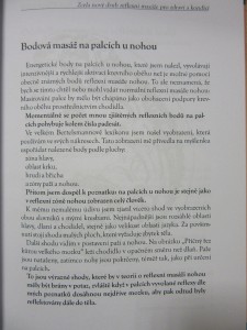 náhled knihy - 