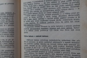 náhled knihy - 