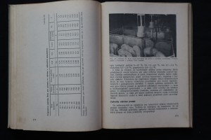 náhled knihy - 