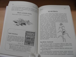 náhled knihy - 