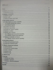 náhled knihy - 