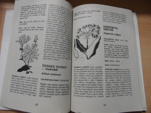 náhled knihy - 