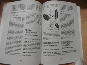 náhled knihy - 