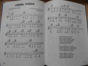 náhled knihy - 