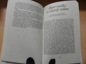 náhled knihy - 
