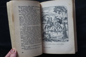 náhled knihy - 