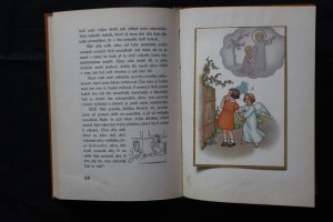 náhled knihy - 