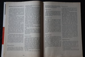 náhled knihy - 