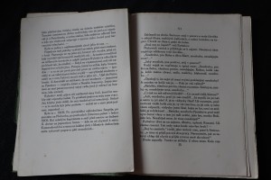 náhled knihy - 