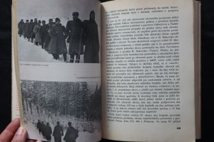 náhled knihy - 