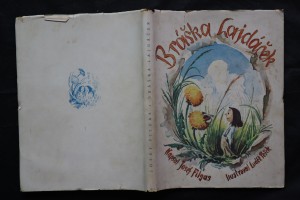 náhled knihy - 