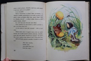 náhled knihy - 
