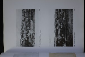 náhled knihy - 