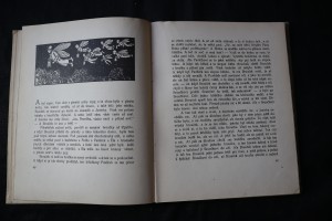 náhled knihy - 