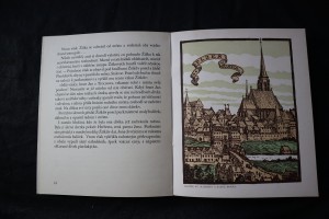 náhled knihy - 