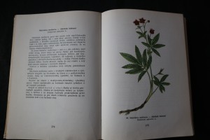 náhled knihy - 
