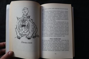náhled knihy - 