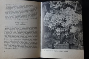 náhled knihy - 