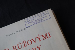 náhled knihy - 