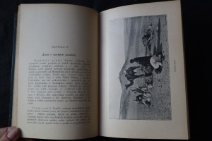 náhled knihy - 
