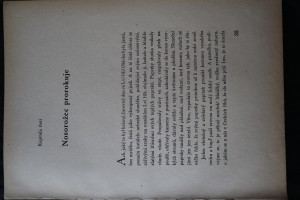 náhled knihy - 