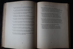 náhled knihy - 