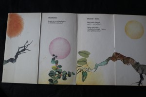 náhled knihy - 