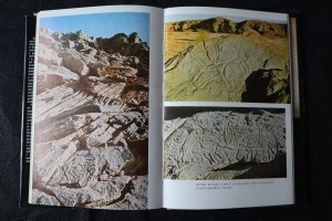 náhled knihy - 