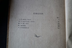 náhled knihy - 