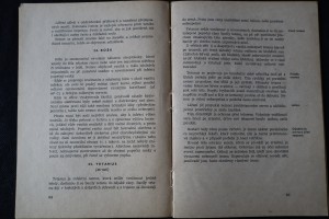 náhled knihy - 