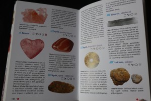 náhled knihy - 