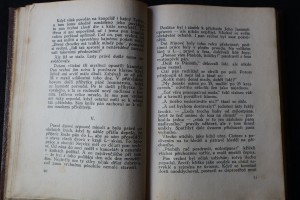 náhled knihy - 