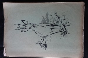 náhled knihy - Zelená kniha : Myslivecká zoologie, biologie, lov a chov naší zvěře : Lovecké črty
