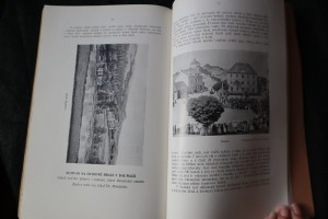 náhled knihy - 