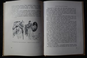 náhled knihy - 
