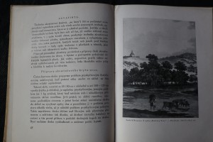 náhled knihy - 