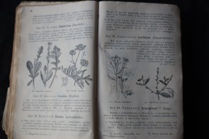 náhled knihy - 