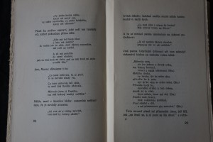 náhled knihy - 