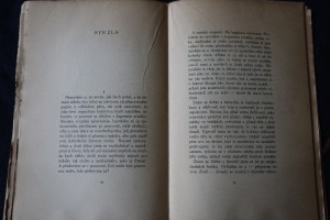 náhled knihy - 